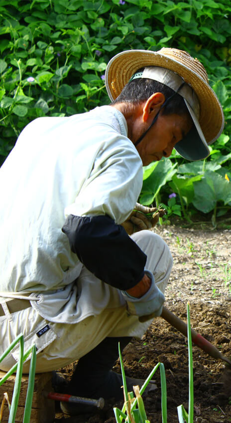 生産者4