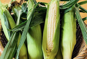 Big manz Farm
