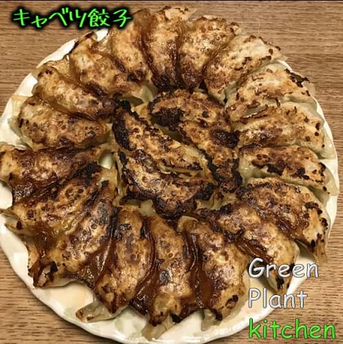 ＃旬野菜～キャベツのおいしい餃子！！　