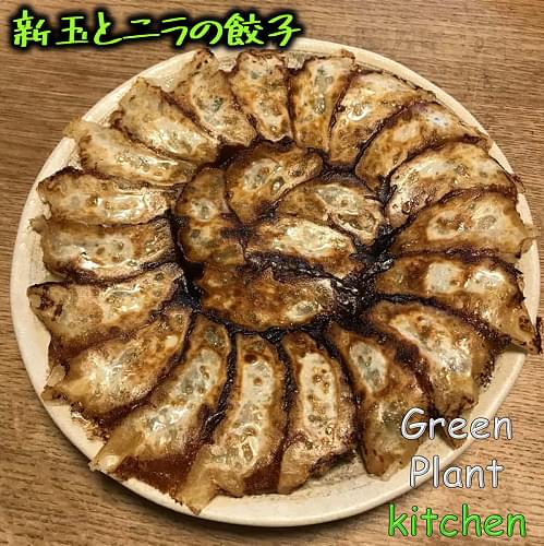 ＃旬野菜～新玉葱とニラの餃子