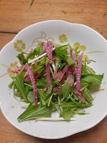 紅芯大根と水菜のサラダ