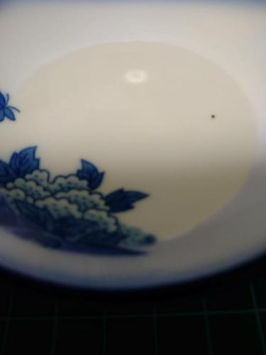 今が旬！柿の葉茶